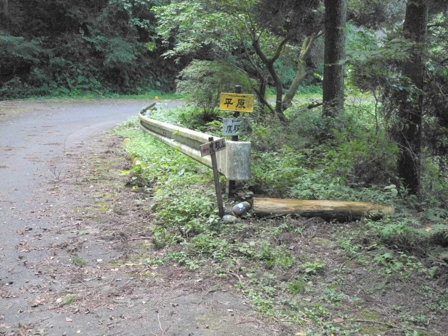 林道出会い
