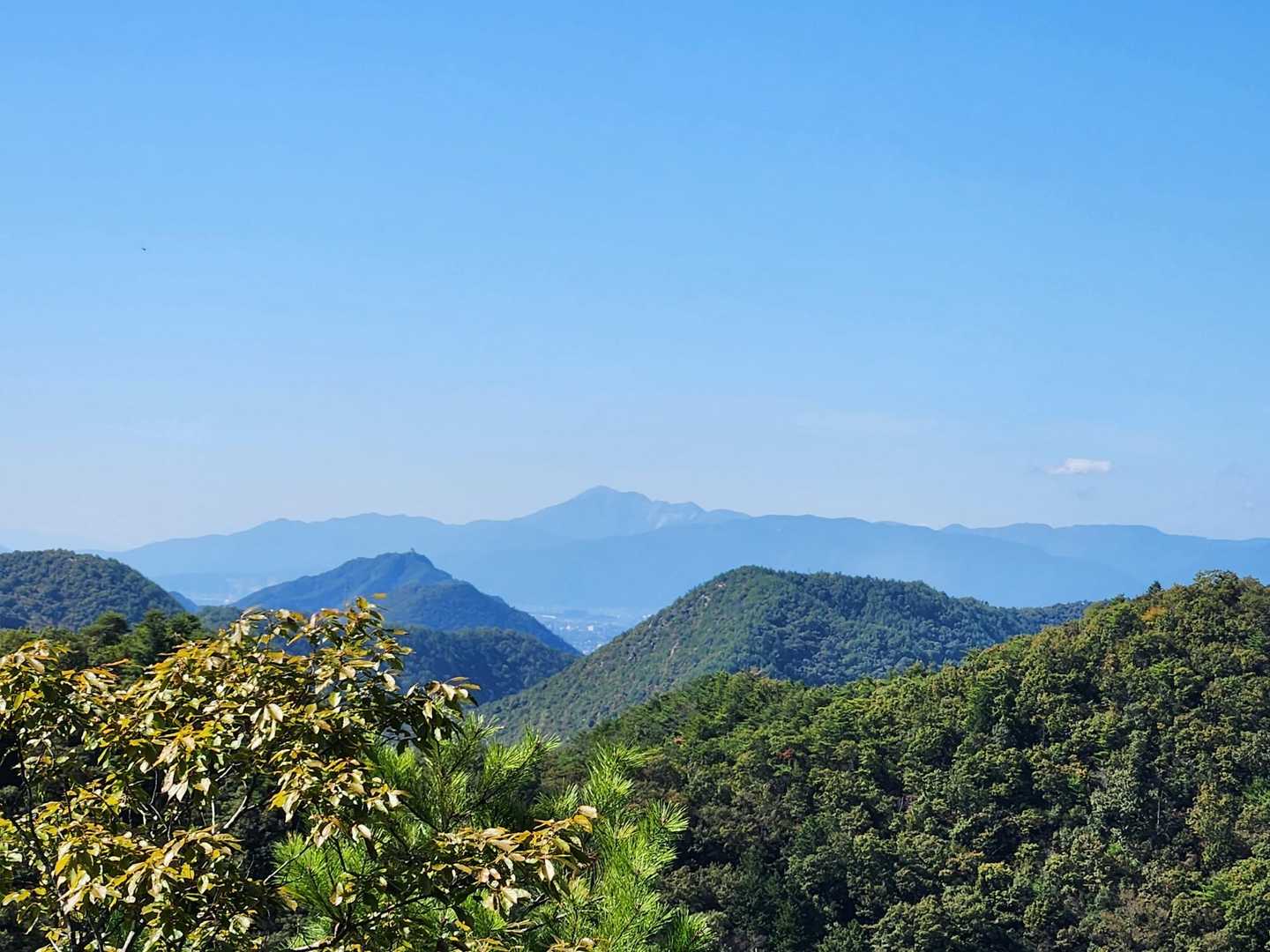 登ってみると伊吹山✨