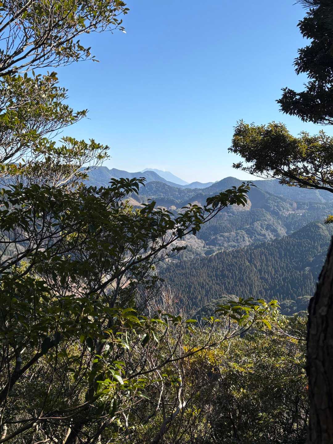 ちょっとの眺望✨
桜島がちょっぴり見えるくらいのいい天気☀️