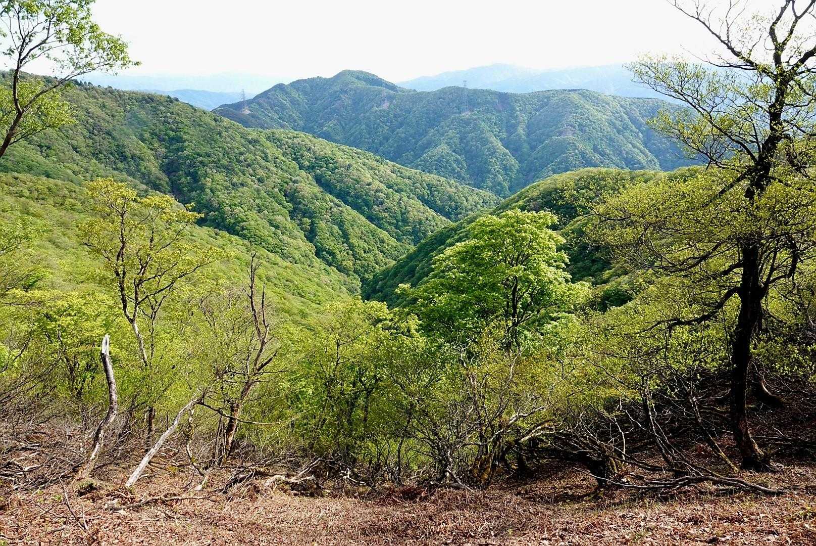 景色見ながらの縦走、なかなか良い道が続きました🥰