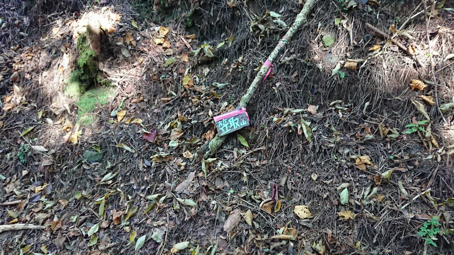 ウロウロして探したあげく、ここや！