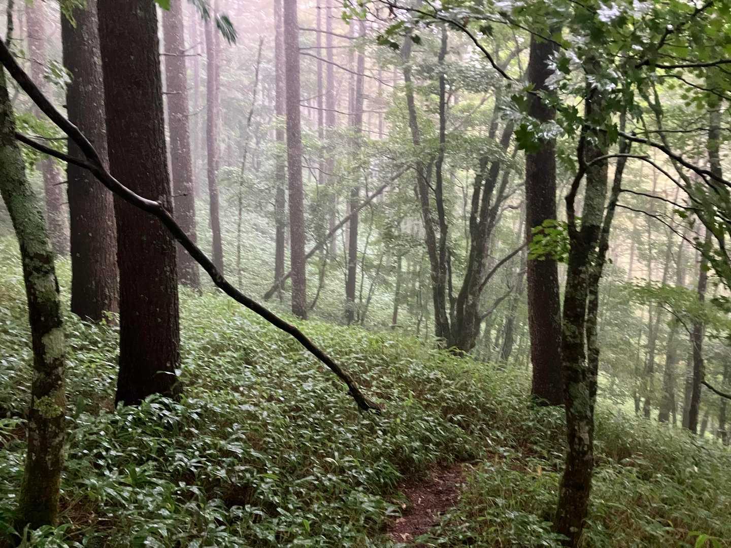 雨☔