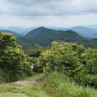 西鳳翩山
また階段を登り降りしなければいけないので、ササユリは断念しました😂

