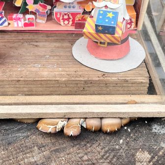 ん？？

こんなところからキノコが🍄‍🟫