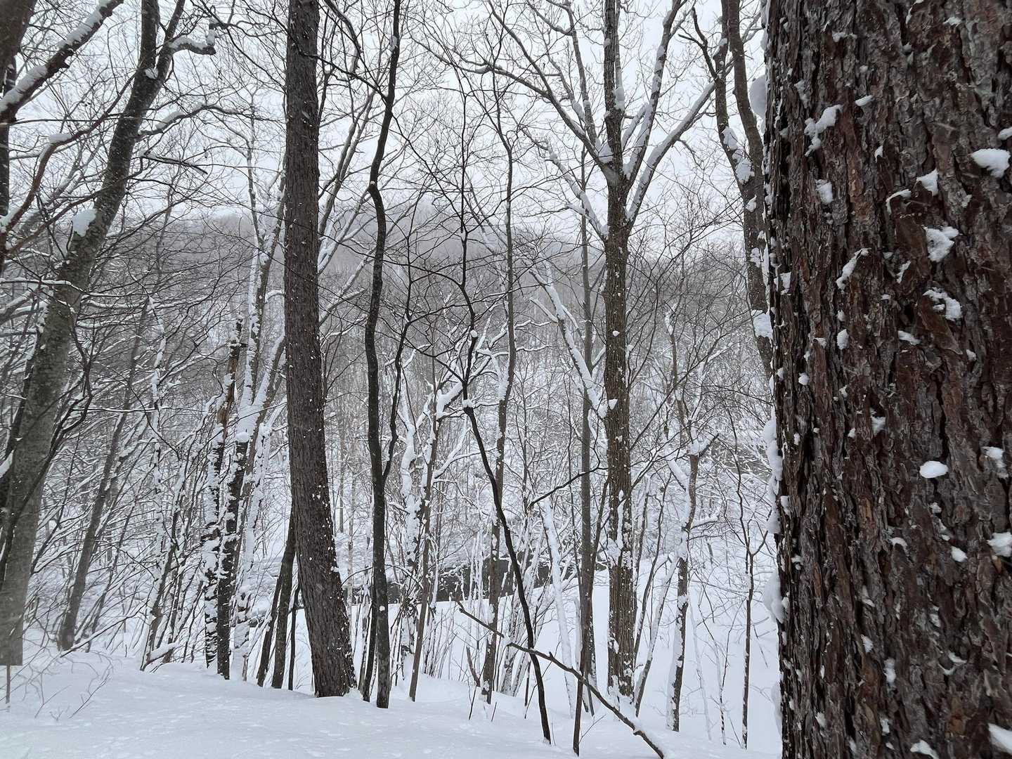まずは豊見山へ
