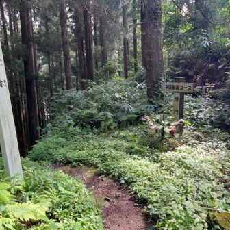 中世の散策コースへ。