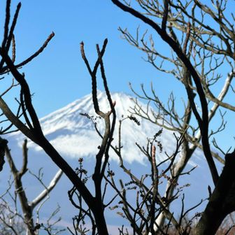 冠ヶ岳からの🗻
樹林帯なので枝が邪魔💧📸