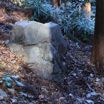 大高取山を目指して登っている途中に白石様という露頭があります。かつて、ここの岩は切り出され、大宮神社や虚空蔵尊の石段などに使われた歴史があります。

上の方に岩の塊があり、それらを白石様と崇められているんだと思いますが、
その下の方にポツンとあったこの岩こそが白石様だと勝手に思っています🦍🙏
それにしても逞しいお顔☺️ですね〜