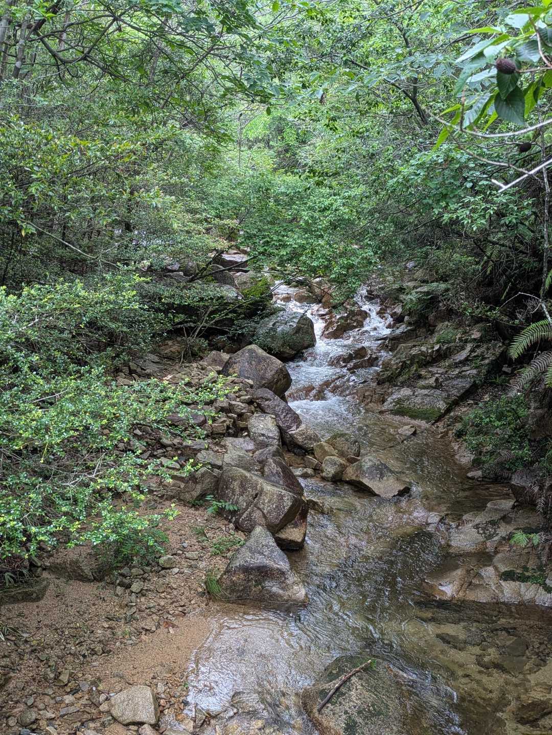 清々しい