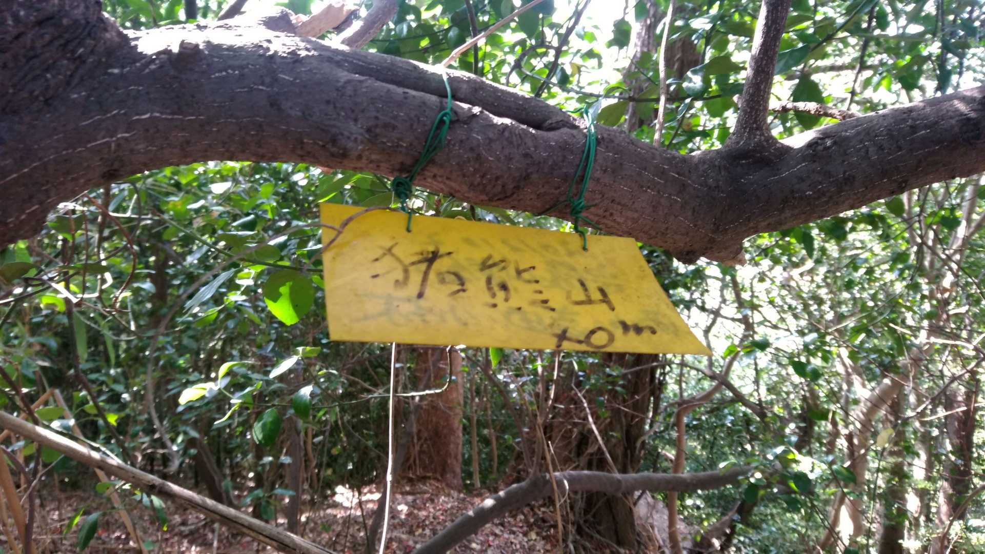 猪熊山　頂上。