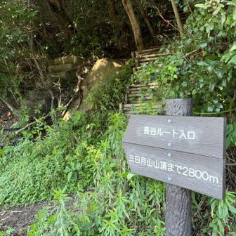車道を少しだけ戻って長谷ルート入口から再度登山道へ取り付き