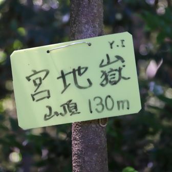 宮地嶽山頂
YAMAP1784座目