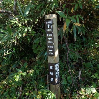 小安岳への分岐に出ました。