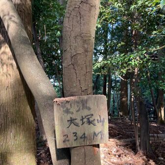 大塚山　山頂
眺望は全くなし
山頂直前は急勾配で注意してください。