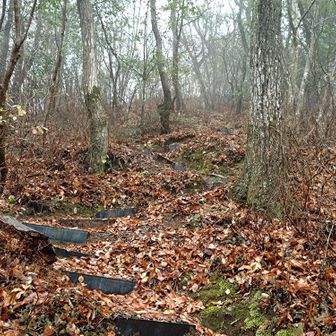 レゴ
辛い
なんで、西尾根😮‍💨