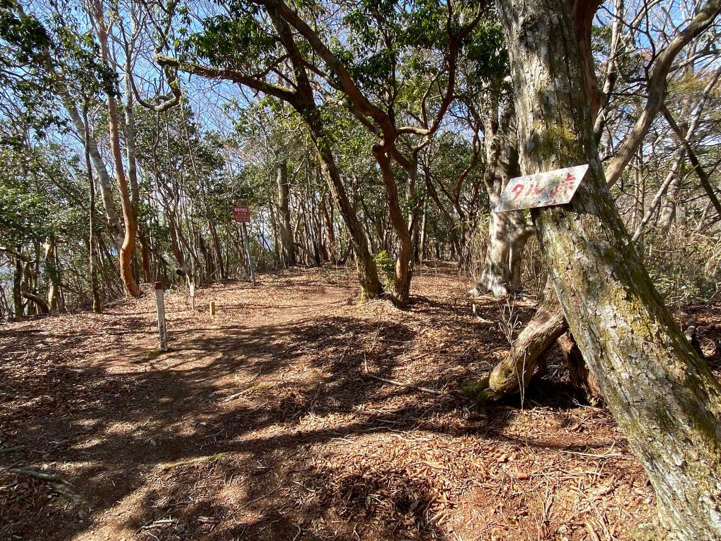あと少しで山頂ってとこ。