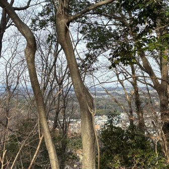 山頂からの眺め