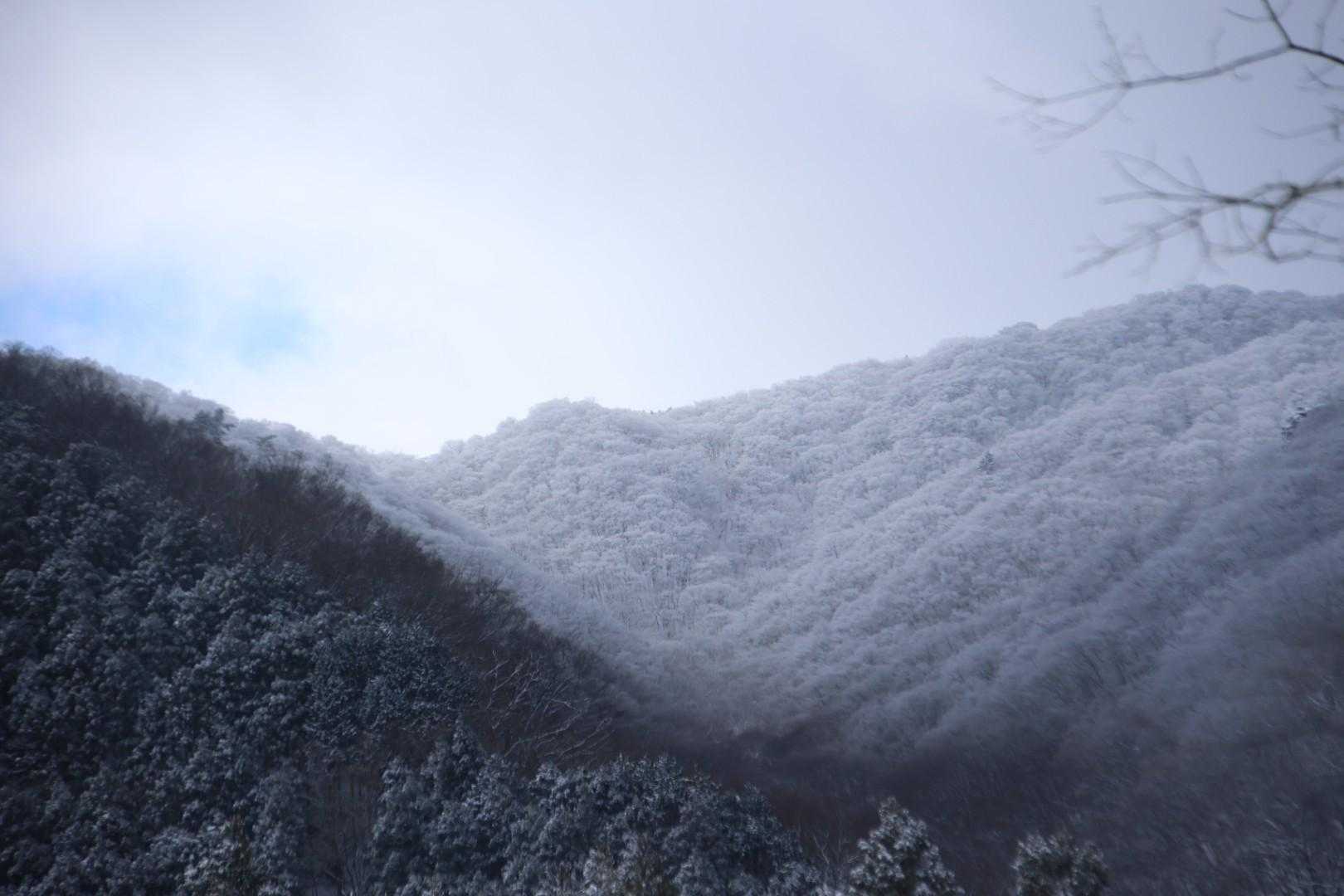 霧氷はバッチリみたい☺️