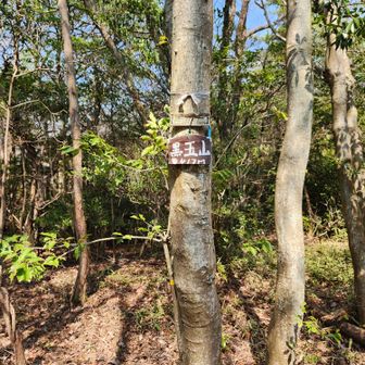 黒五山は以前近くの道を通ったらピークがとれてしまったので、改めてきました⛰️