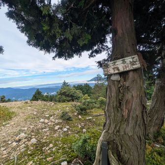 裏山