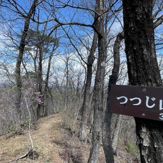 つつじ山到着⸜(*ˊᗜˋ*)⸝
山頂アカヤシオだらけ、みたいなの想像してたら、そこまでじゃなかった😆
家帰ってから思い出しました…あ、アカヤシオいっぱいなのはもっと先のヤシオ山だったか🤣