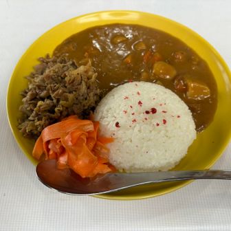 カレーが体に染みる