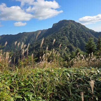さっき居てた筒上山