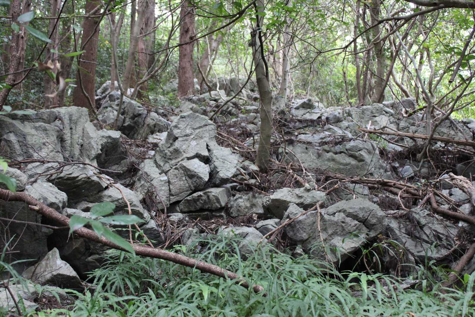 カルスト地形