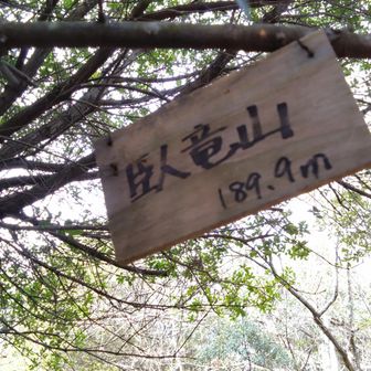 臥竜山の山頂標識
片方の針金切れています。代用品を持っていなくて修理できませんでした。誰かお願いします🙏