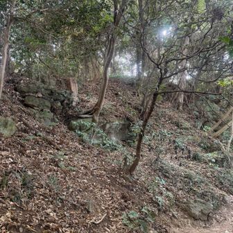 この上にもピークがあるって言うんで…