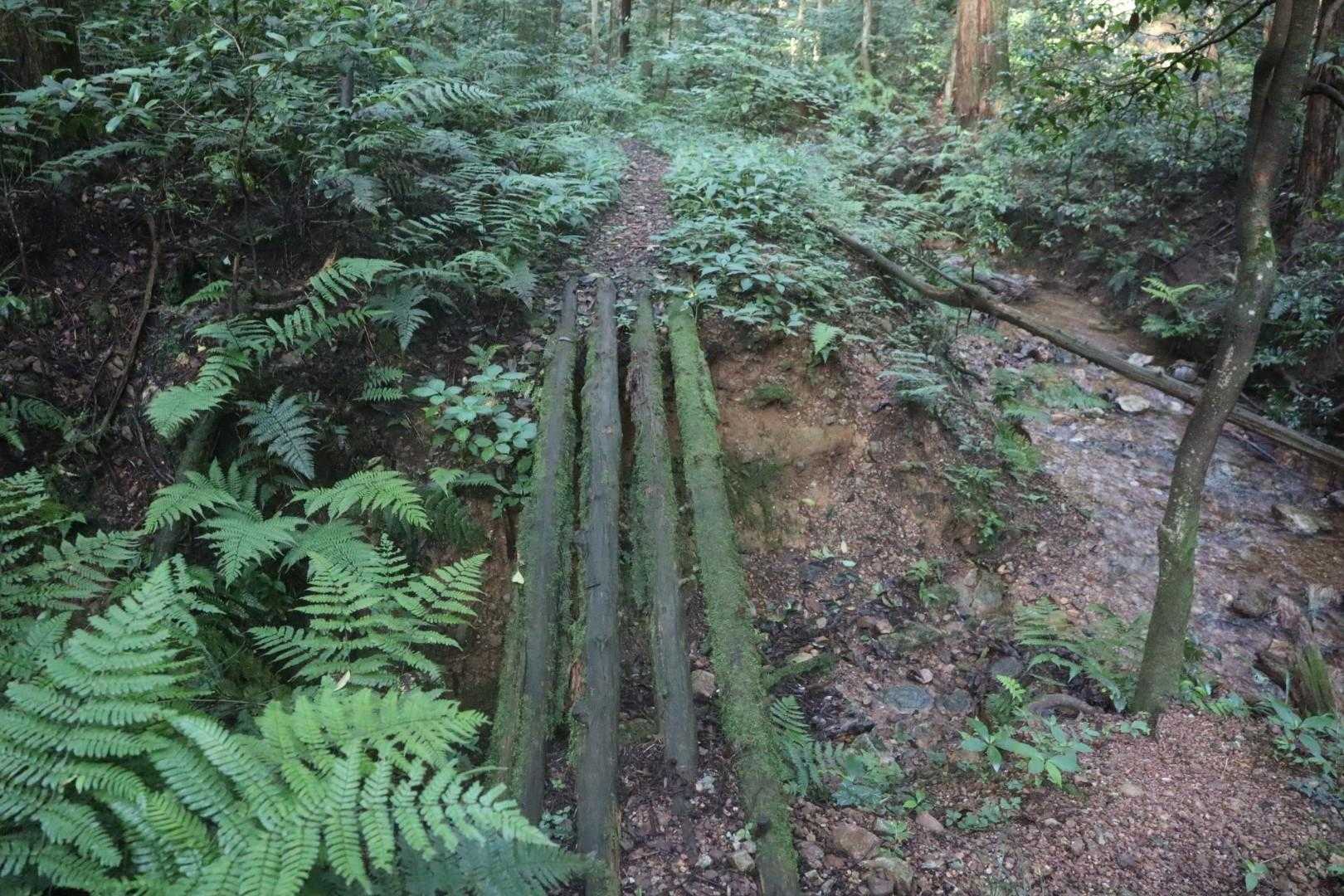 橋の上を歩きましたがかなり不安定。
一度下に降りたほうが無難です
