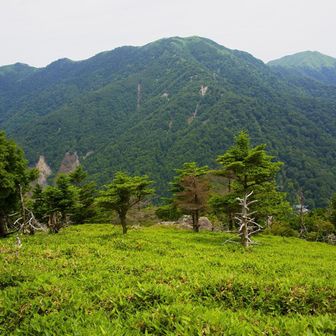 踏み跡も無く😅歩いて来た記憶頼りに降って行きます⤵️
