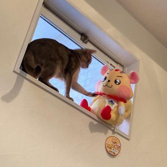 ユーザーちあき