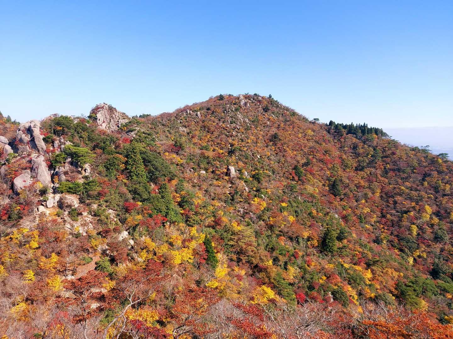 仙ヶ岳 往復コースの写真