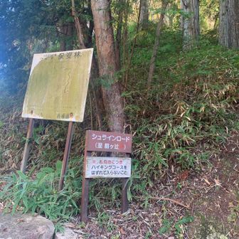 だいぶ 下山しました…
