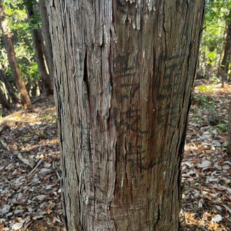 国束山

岩〇峠　岩坂だと思うが誤字か？

宮川葛原至
