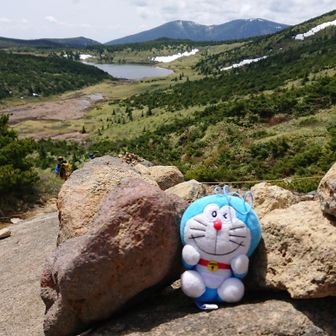 ユーザーやすにぃ