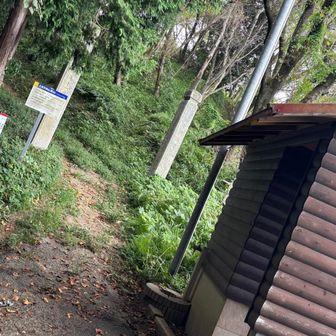 トイレ🚾完備のお山⛰️