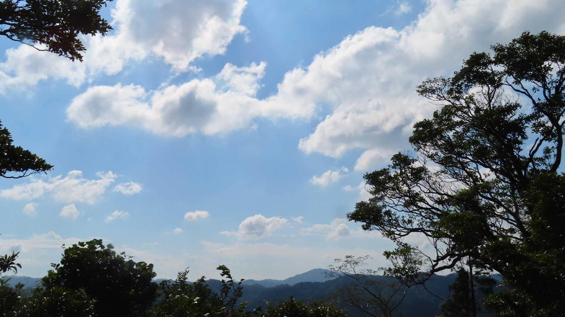 草枝刈りながら小保田峠へ
小鋸山行きと嵯峨山行きの三差路