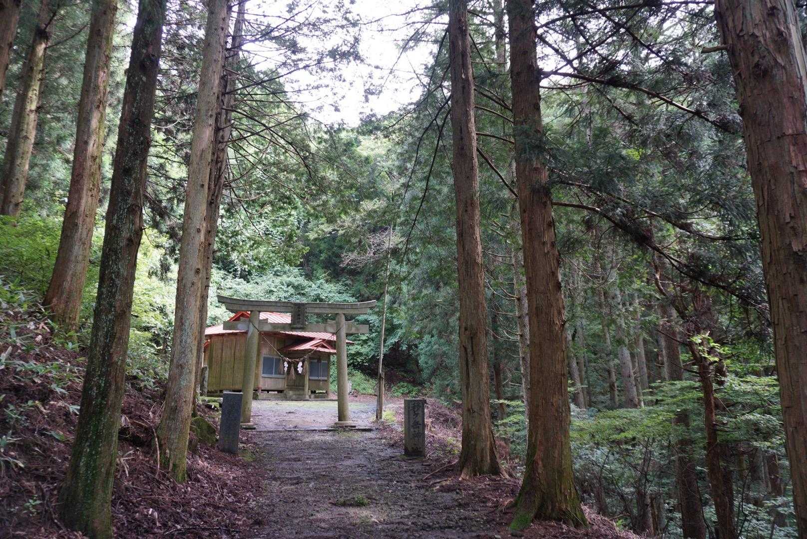 湿度高め。すぐに汗が💦