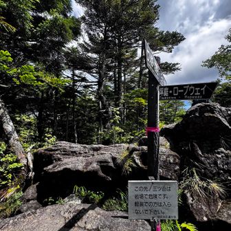 さぁ！
ここが三ツ岳の岩場ルートへの入口
今回歩かなかったら、もう今後歩くことはない気がする…
かなり不安はあるけれど…思い切ってGO❗️