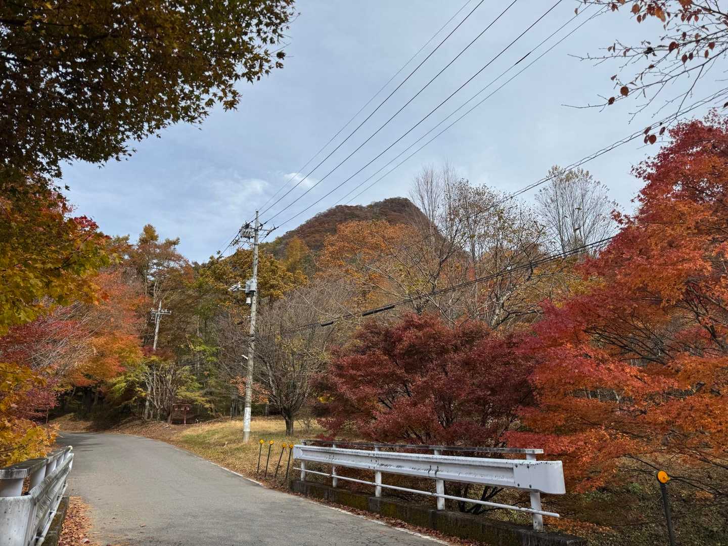 車道も紅葉きれい