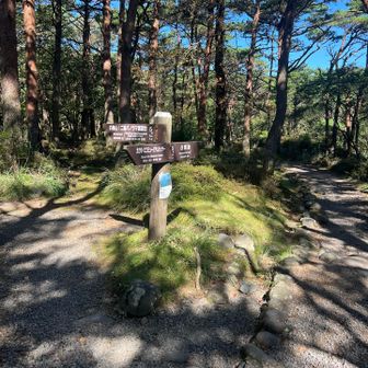 左の白鳥山に向かいます
