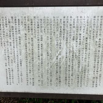 案内板🤔