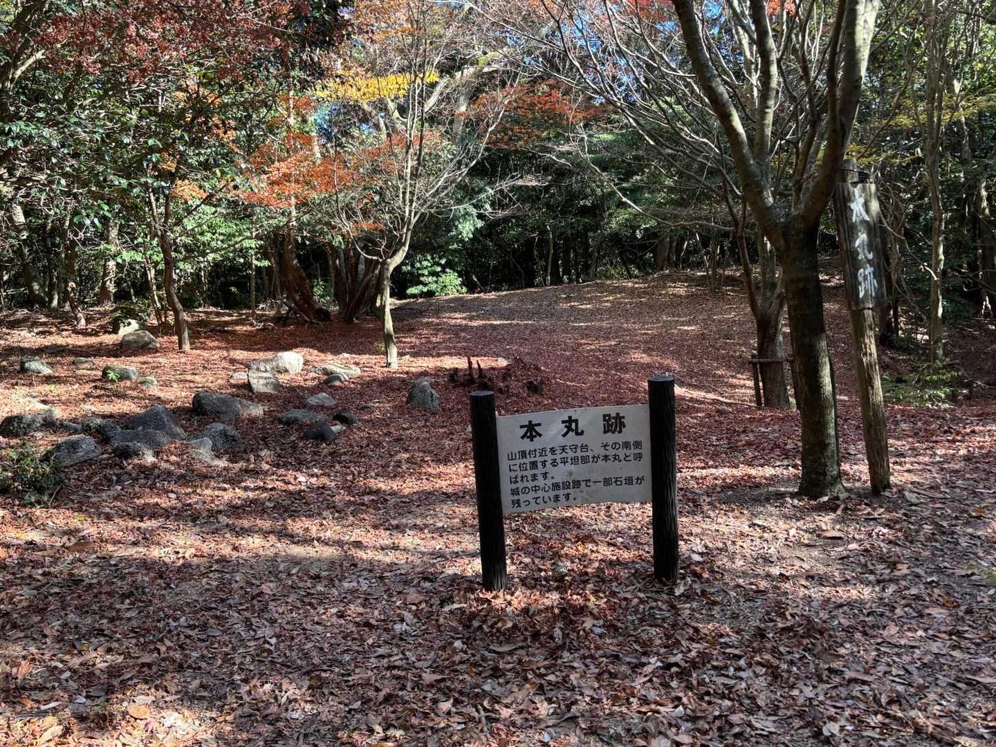 岩石山 往復 | 奇岩・巨岩とドウダンツツジのトンネルが生み出す絶景を満喫の写真