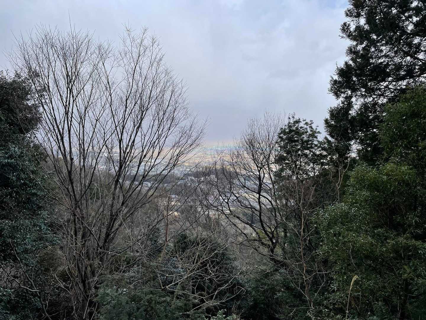 自分の目線より低い所にうっすら虹🌈


