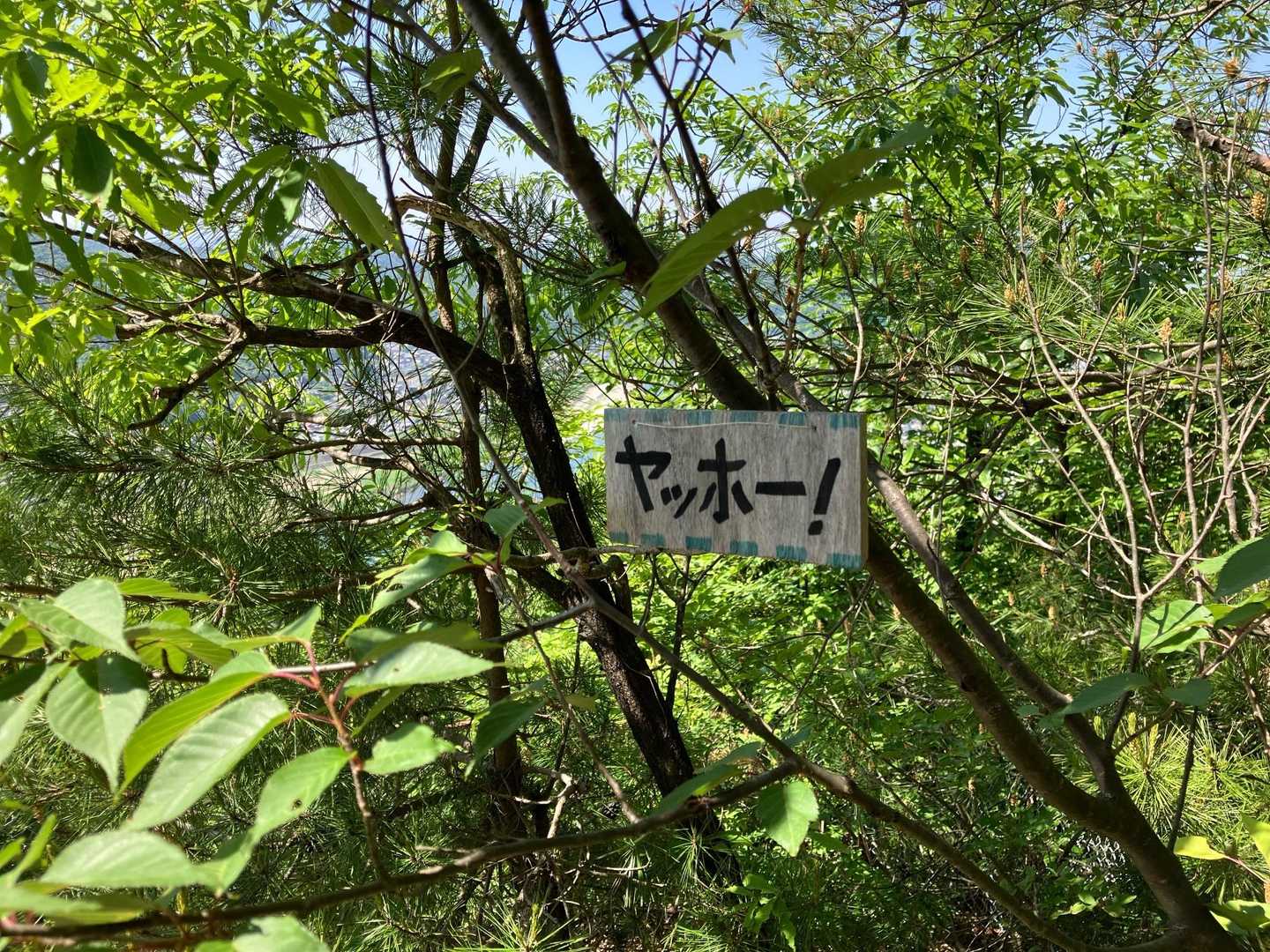 松尾池-千鳥山 周回コースの写真