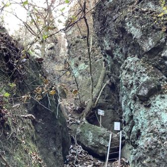 一本槍との表示があるけど、どれかしら？