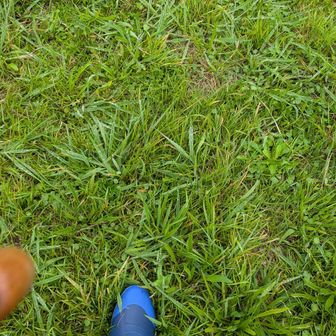 雨なので傘さして長ぐつで