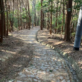 素敵な石畳☺️